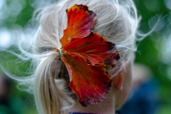 DSC_8842B