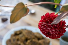 Moestuin-buffet-23