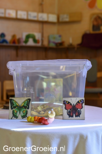 Groenergroeien-vlinders5