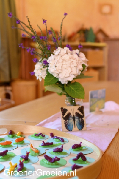 vlinders-in-de-klas-k3