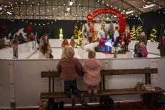 WaldorfAdvent-zaterdag-Jelka-Matlung-7