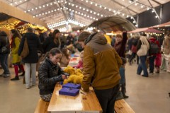 WaldorfAdvent-Vrijdag-Jelka-Matlung-12