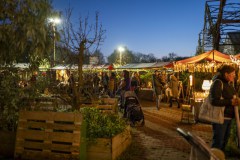 WaldorfAdvent-Vrijdag-Jelka-Matlung-15