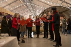 WaldorfAdvent-Vrijdag-Jelka-Matlung-31