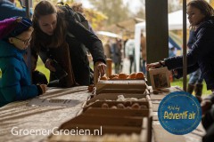Waldorf-AdventFair-GroenerGroeien-22