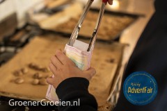 Waldorf-AdventFair-GroenerGroeien-23