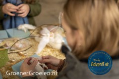 Waldorf-AdventFair-GroenerGroeien-36