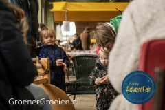 Waldorf-AdventFair-GroenerGroeien-41