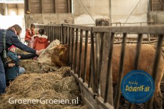 Waldorf-AdventFair-GroenerGroeien-46