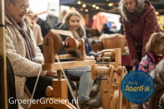 Waldorf-AdventFair-GroenerGroeien-61