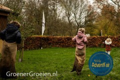 Waldorf-AdventFair-GroenerGroeien-65