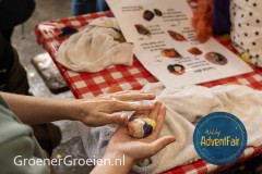 Waldorf-AdventFair-GroenerGroeien-71