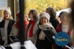 Waldorf-AdventFair-GroenerGroeien-76