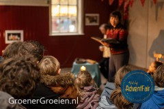 Waldorf-AdventFair-GroenerGroeien-88