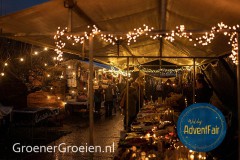 Waldorf-AdventFair-GroenerGroeien-99