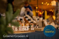 Waldorf-AdventFair-GroenerGroeien-Social-11