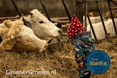 Waldorf-AdventFair-GroenerGroeien-Social-6