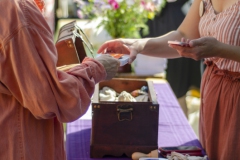 GroenerGroeien-Waldorffestival-S8