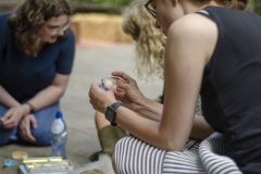 GroenerGroeien-Waldorffestival-W15