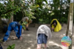 WaldorfFestival-Zaterdag80